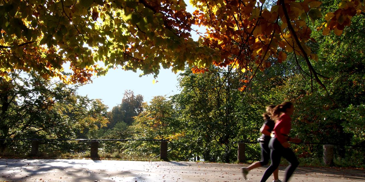 De herfst staat weer voor de deur, de kans op herfstgriep ook. Wat te doen bij griep en sporten?