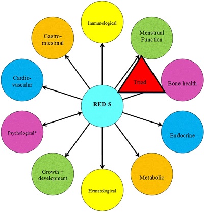 https://bjsm.bmj.com/content/51/21/1570