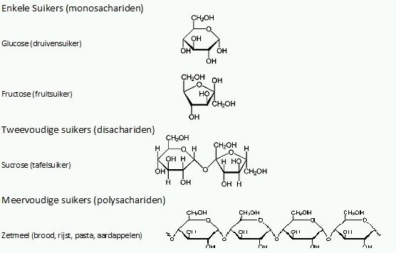 Suikers.jpg