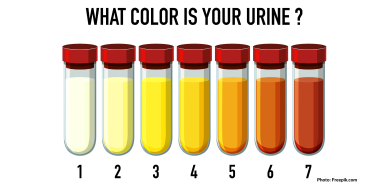 Nieuws van Sportzorg.nl | Sportzorg