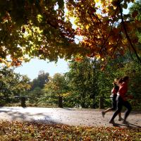 De herfst staat weer voor de deur, de kans op herfstgriep ook. Wat te doen bij griep en sporten?