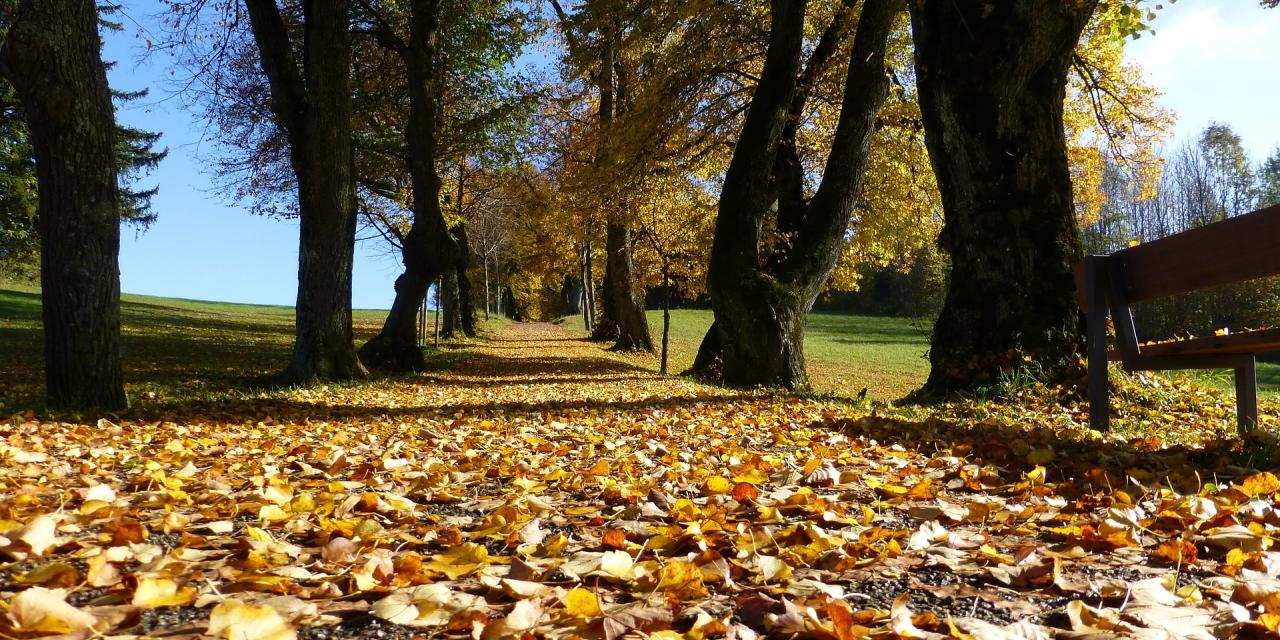 Sporten in de herfst