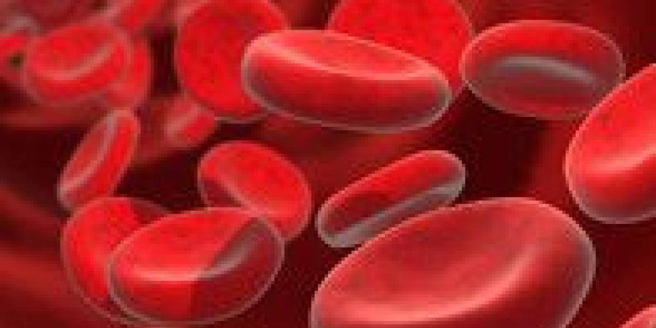 Bloeddonor en duursport