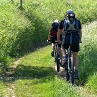 Vraag aan de sportarts: Ik heb pijn aan de buitenkant van mijn knie. Wat kan ik doen om pijnloos te fietsen en lopen?
