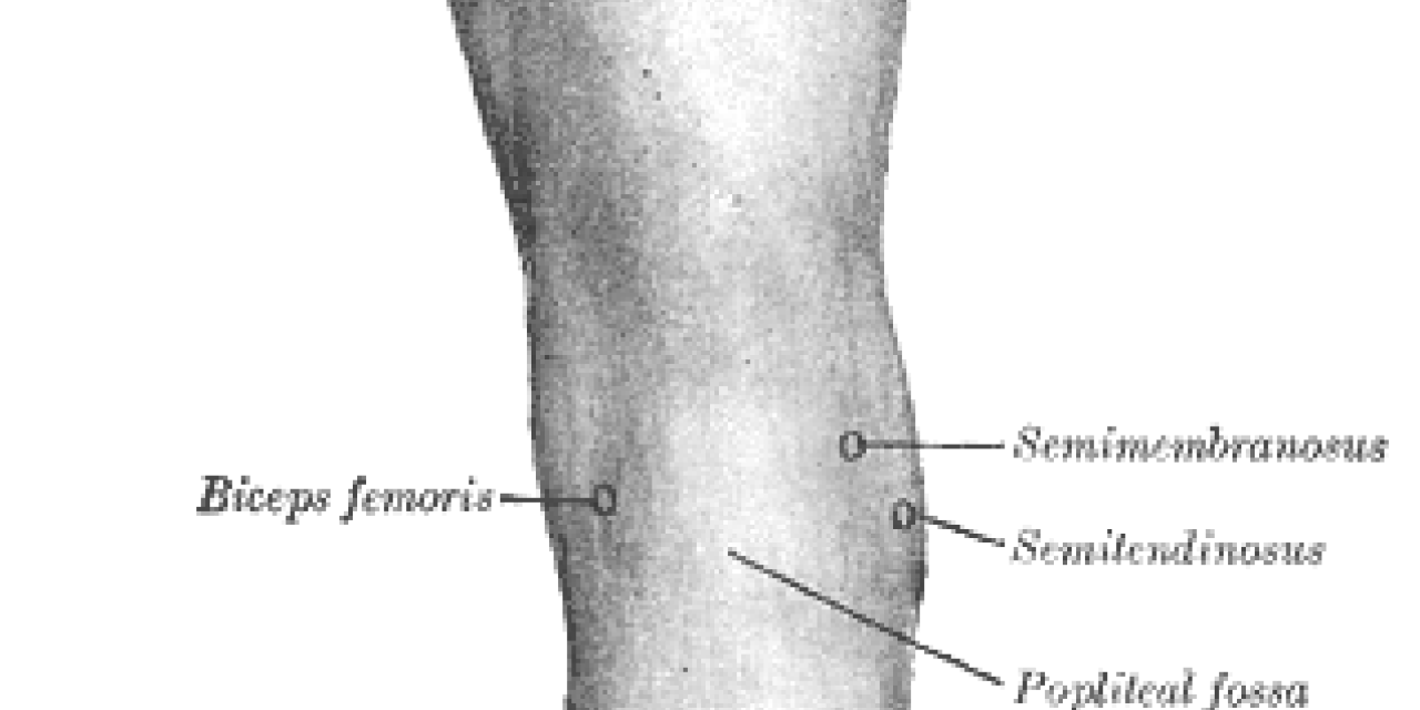 Meest gelezen artikel: hamstringblessure